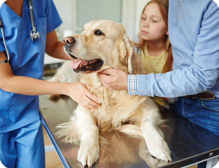 Image 1 Quelles sont les différentes pathologies traitées ?