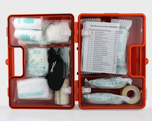 La trousse de secours pour chien et chat