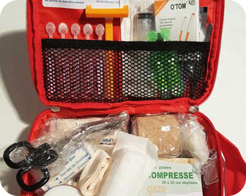 Trousse de premier secours pour chien : Que doit-elle contenir ?