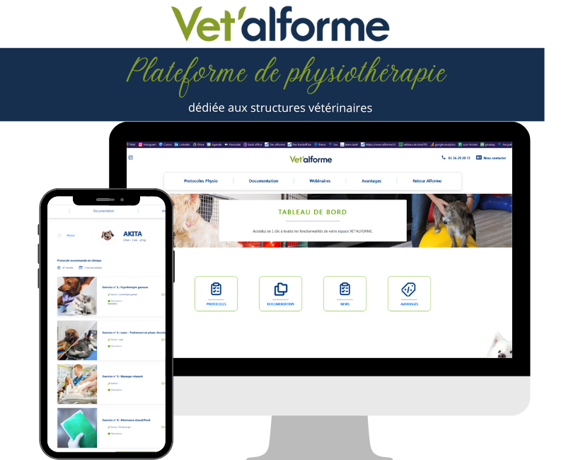 Image 1 PLATEFORME D'OUTILS DE PHYSIOTHERAPIE