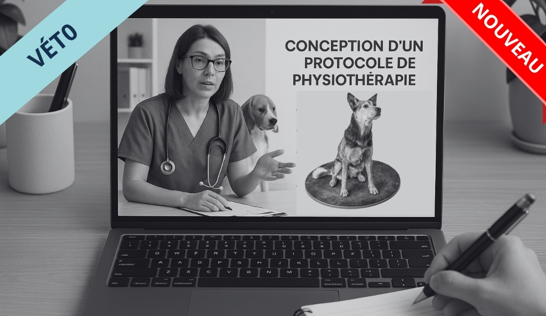 Miniature Conception, suivi et gestion d’un protocole de physiothérapie