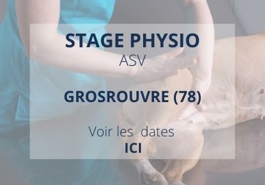 Miniature Formation Physiothérapie: Parcours Physio Care